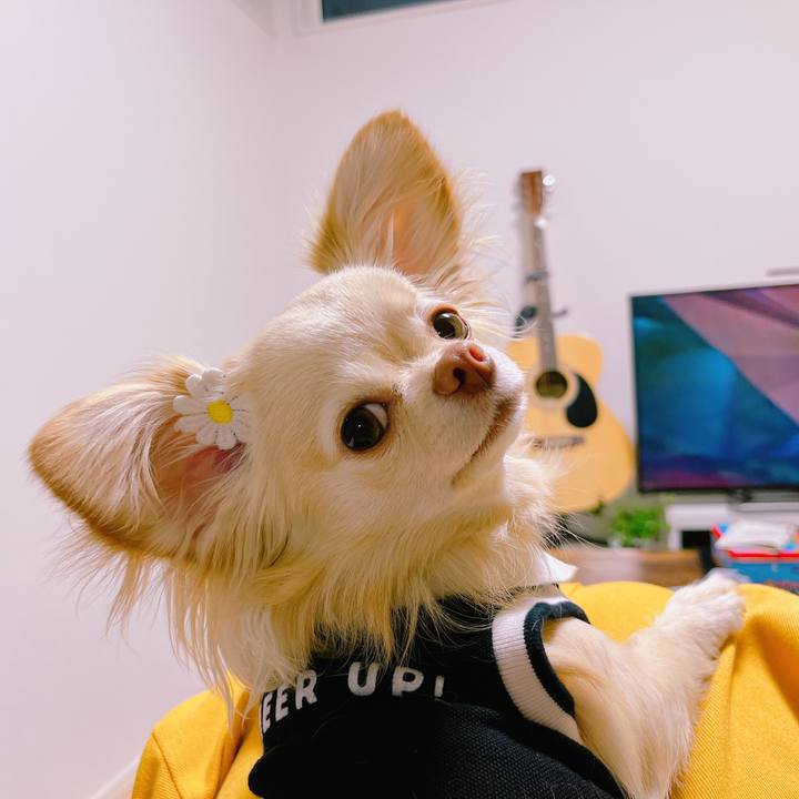 C9beeb67 e05b 4c28 b90d edb37d89ec7f 1652359388947