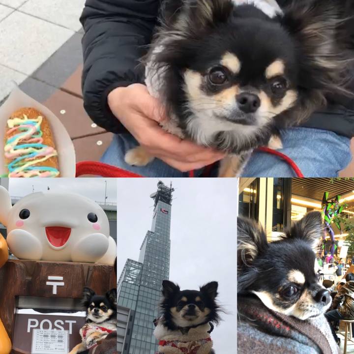 C9bf0766 d624 40a9 a04a dbe4d47cf864 1578802715703