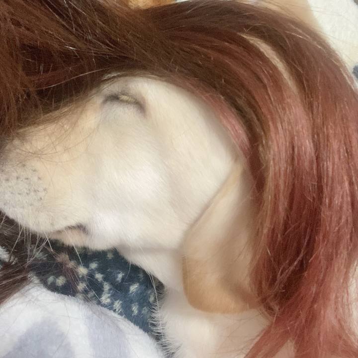 C9bf2c1c b1e2 4432 a2dd 46dcfc79b8d1 1613219670859