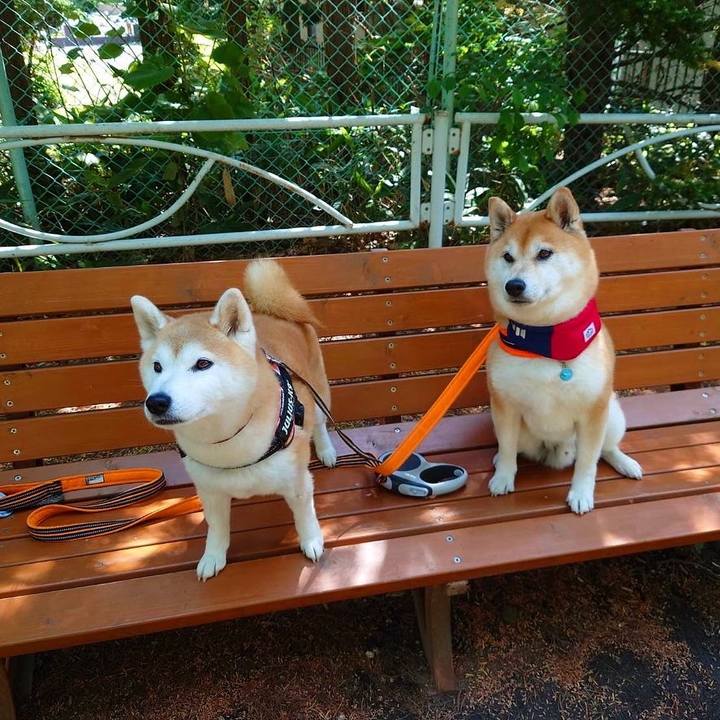 C9bf5ef5 682a 4b55 9a70 ca15c571d83a 1686455054324