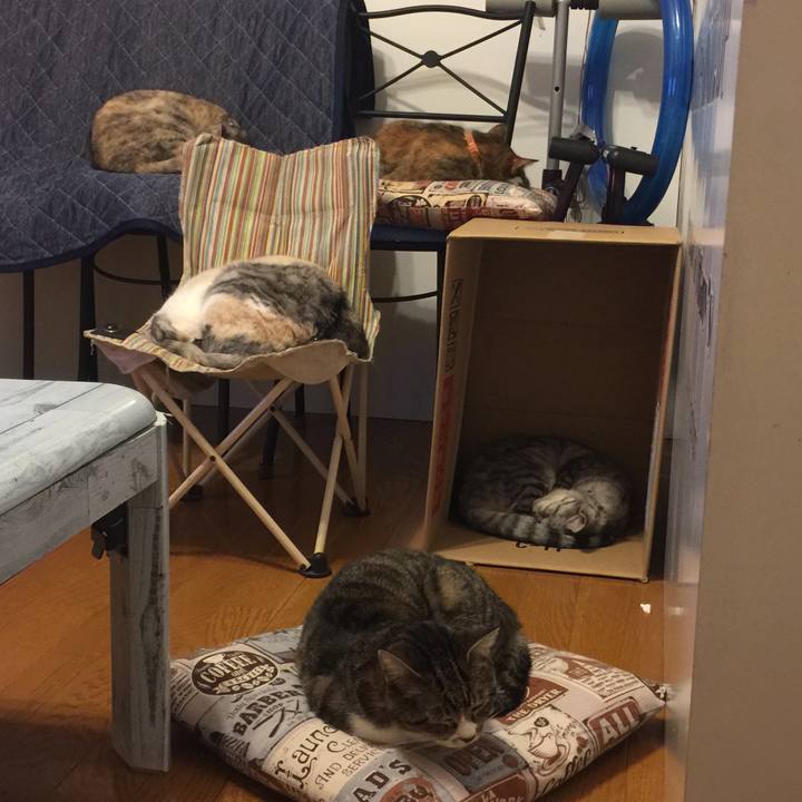 C9bf9b9e a279 40f3 a21f bb6b9e501300 1560084959017