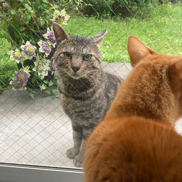 C9bfb990 b78d 4252 92cd 85f32ffb734b 1653522082083