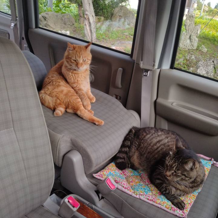 C9bfd42d 7783 434e 93f8 fc871cf0ccc7 1689067741874