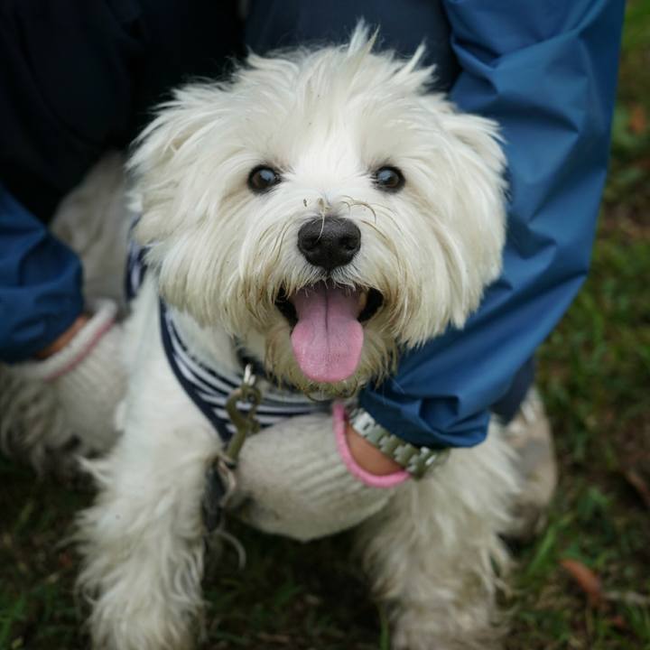 C9bfe918 1947 41f3 9354 7155d8049470 1524557115109