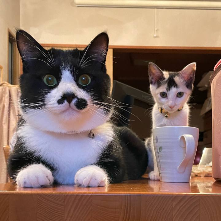 C9bff8b2 d53e 4484 b998 9834d8a42bb1 1743389545739