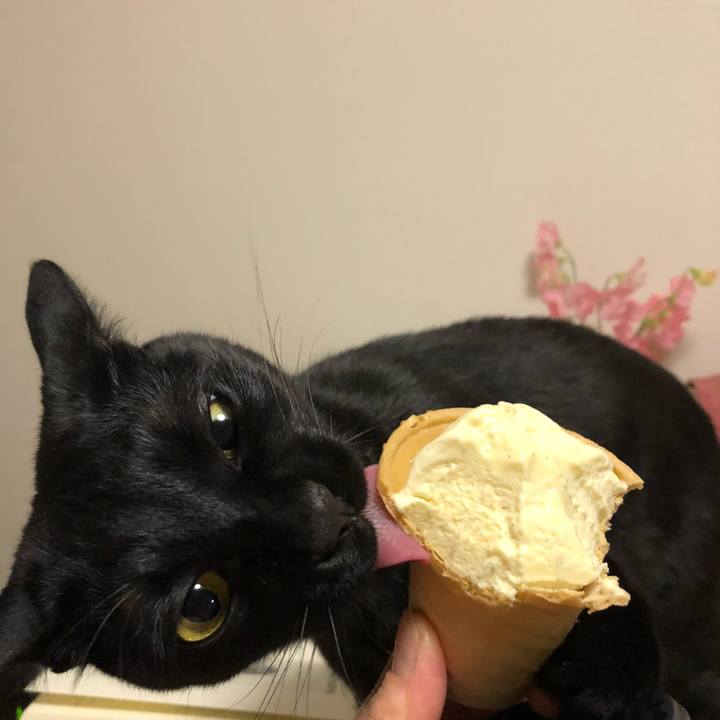 C9c00818 8181 4169 9ae7 b5d9960dfdf8 1518759751846