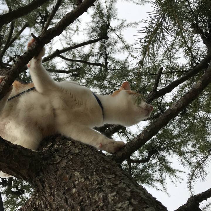 C9c057ff f8aa 451c b7d8 6ef7bc0e3b67 1513139412342