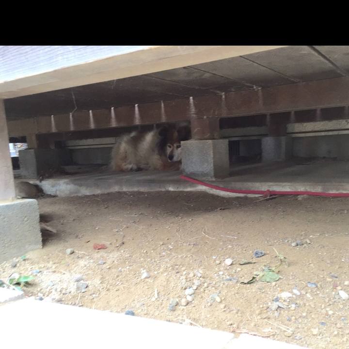 C9c0614f 8691 4ce0 a03a 7f7af28b3e95 1649144148363