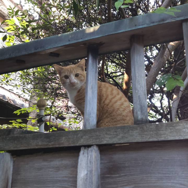 C9c091ae 6f8b 4dcd b318 8a807fb3bab8 1712625031365