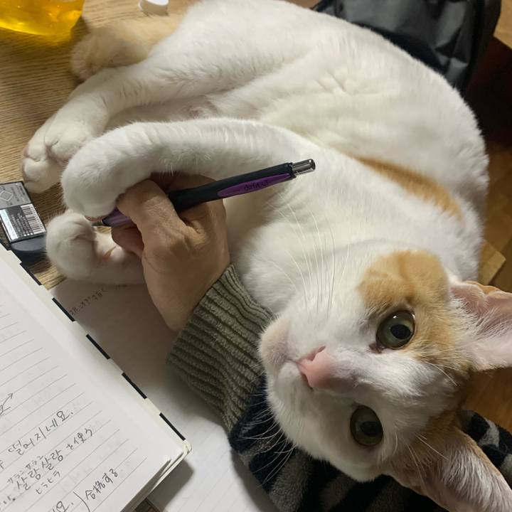 C9c0a7f7 dc3e 4291 9712 f9042ac3f359 1581860646722