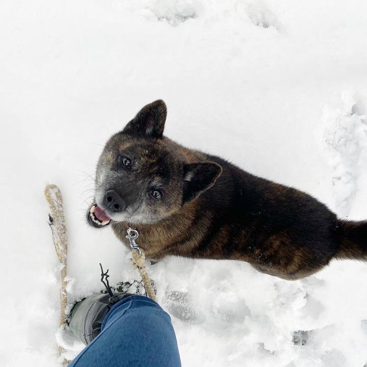 C9c0a99a f1dd 4f16 8ba8 9e3a40257899 1609717271264