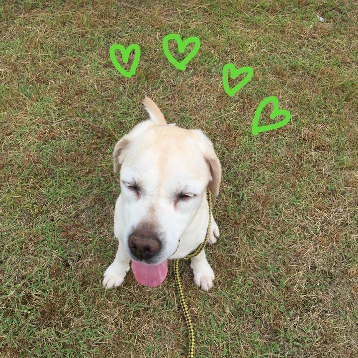 C9c0b088 eabc 4d38 a7cb e54fa05a997e 1530093962414