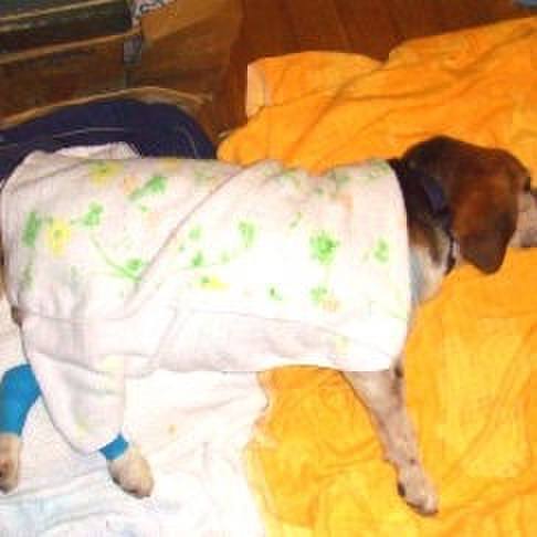 C9c0df15 f652 497c b399 2dad9f3b74e5 1597472415257