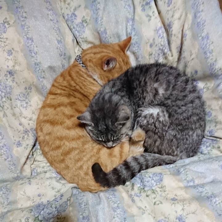 C9c0e6b9 8291 4c2a b8b1 d8bf0645c223 1575376634008