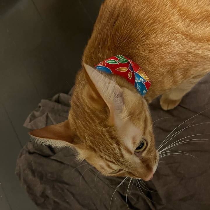 C9c11383 ede4 4f97 bcf8 4fa30fd6f1d9 1642155292110