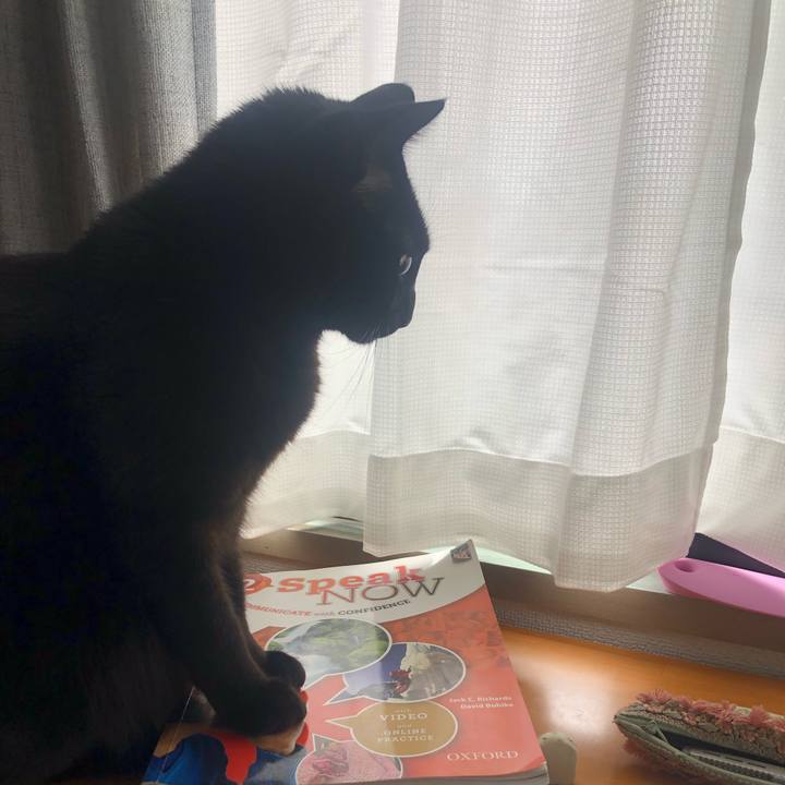 C9c11de4 d7d5 4879 b448 0e4077bb0466 1645404657221