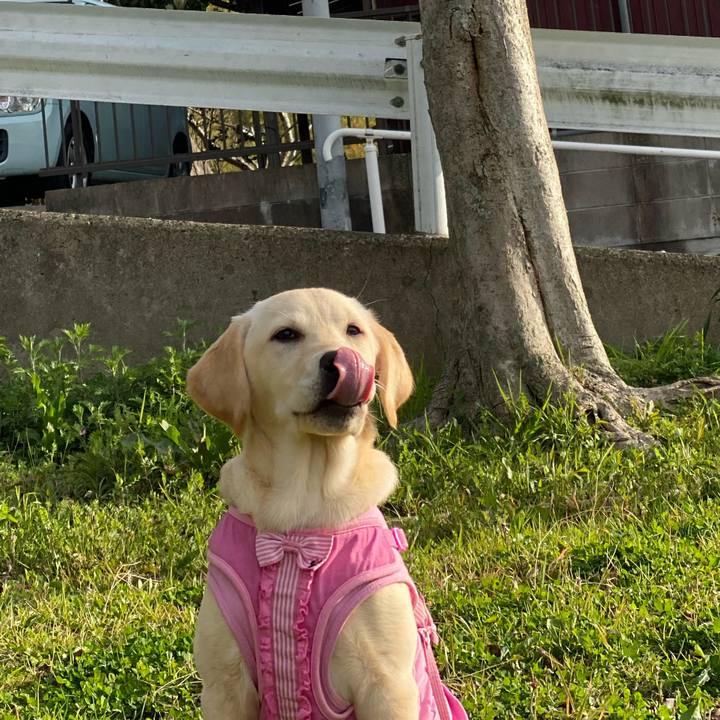 C9c1446b f2d5 4e00 ab1e d230869d9576 1617748426361