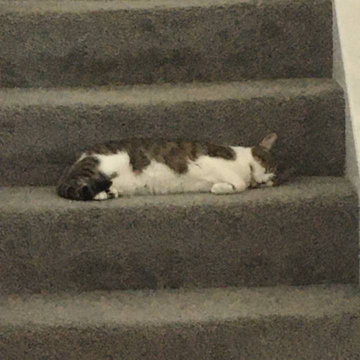 C9c14fd0 a284 4786 b6b3 2b6ffb7e1868 1658277668491