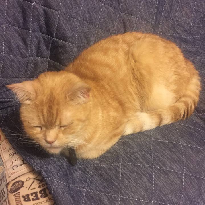 C9c16aeb d0ca 4ce9 b96c 2093c6fe3bed 1559660341686