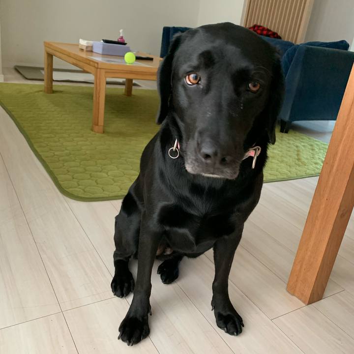 C9c18b33 cd4d 48fd 95c2 347a78c8bc3e 1602733781635