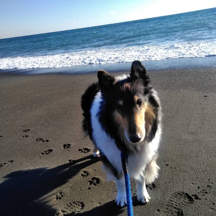 C9c1cbb1 9cab 4b56 bfb2 786d07b632fe 1515851003649