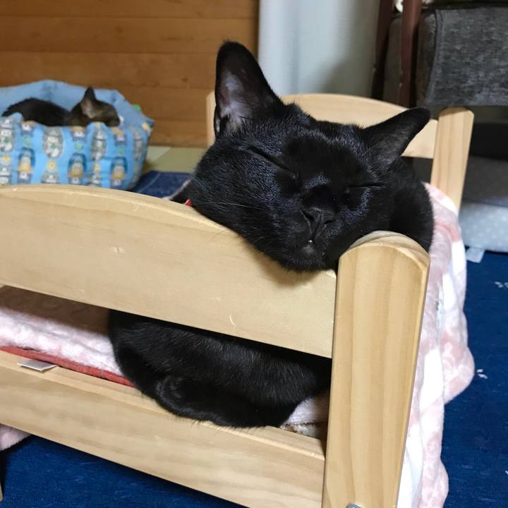 C9c1ebb0 ba74 43f5 9eef 91794302e47d 1526048135818