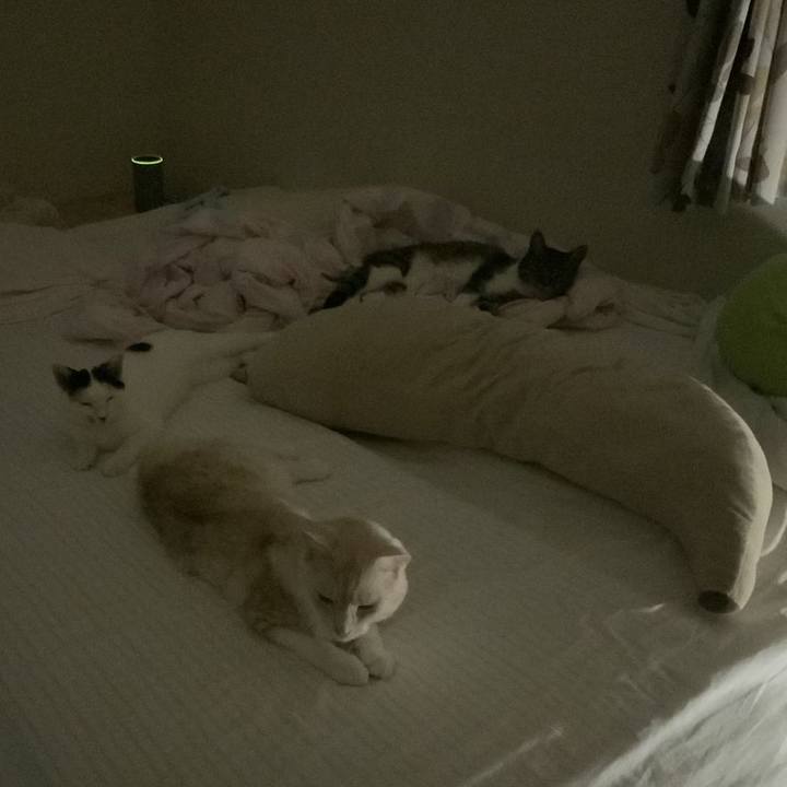 C9c1f097 0e10 403b 8bb1 65ca1f3a4273 1725013502044