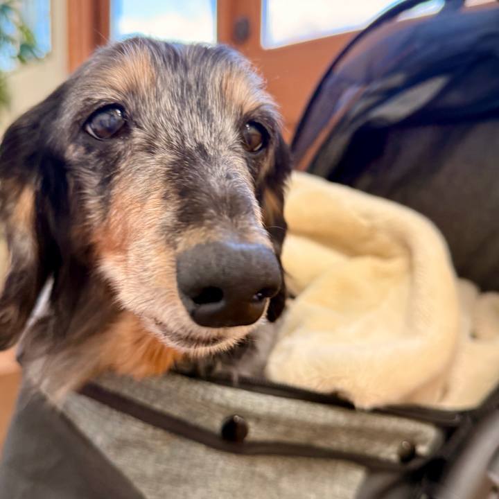 C9c21364 45cd 48d3 a177 6b391007df78 1772847789501