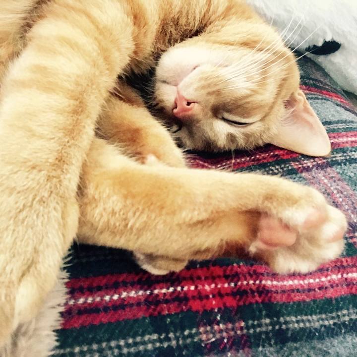 C9c21cad b1a4 400f 8d75 42811bd9f82a 1589522765704