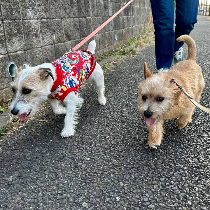 C9c2b057 89d8 4b4c 9296 f43856f2cca9 1710599055248