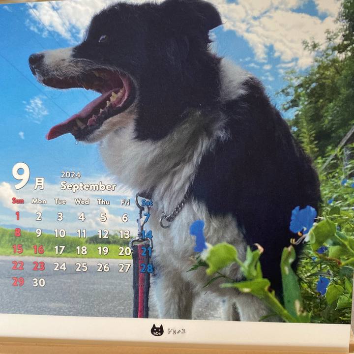 C9c2c19c c1c8 4020 b8b8 54628d24534b 1725144457577