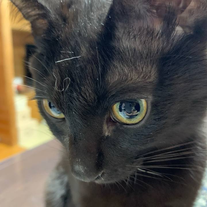 C9c2de5d 88b8 4414 9fed 5868c05d7639 1648265846511