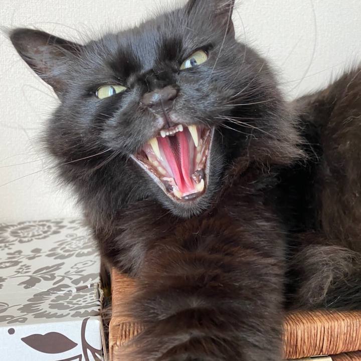 C9c31463 7165 4bef 97f5 7d7eb167abe3 1588932077257