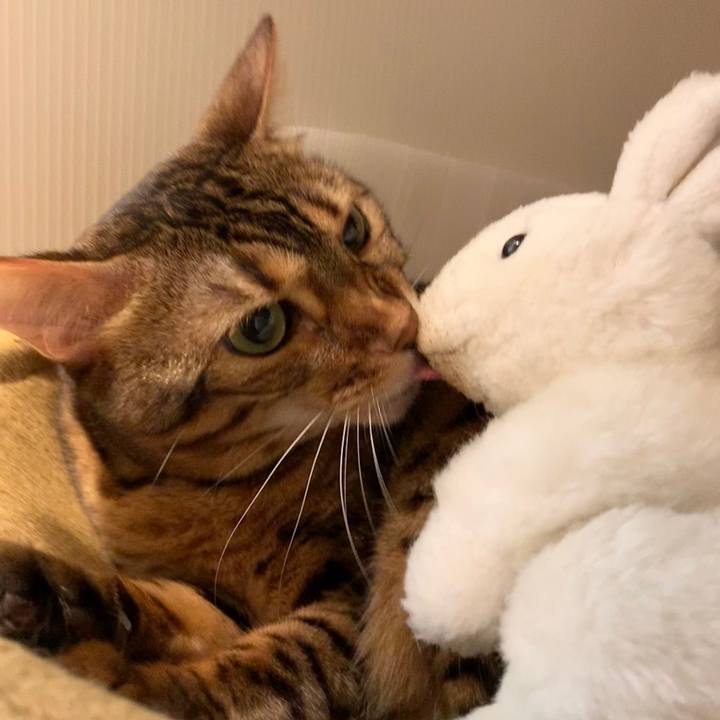 C9c31e79 055f 4310 95f9 88e34d4a1886 1600578943525