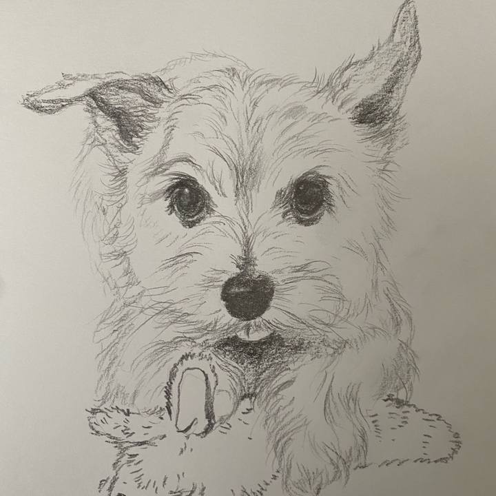 C9c32880 2ce2 443a b018 896925c40754 1642913780699