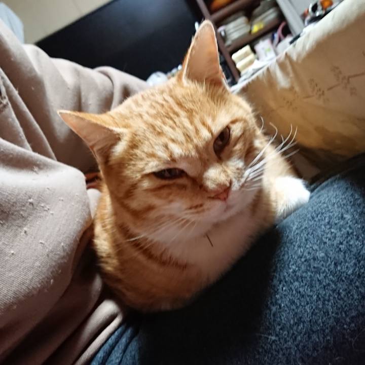 C9c35e64 d297 4623 86d4 73f23e2b798f 1581973975475