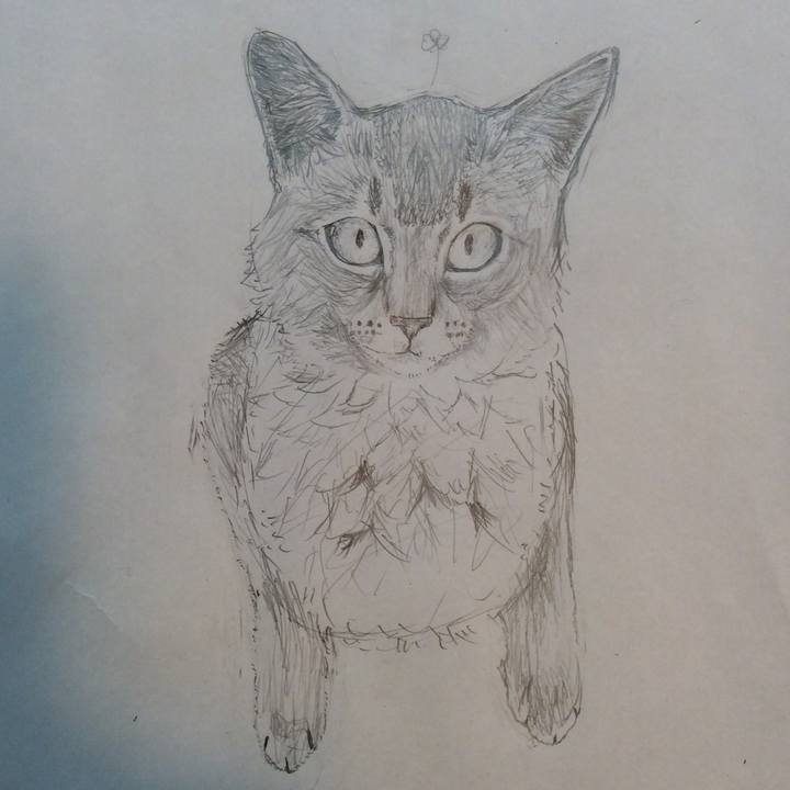 C9c3c19f be97 4979 93ac 8ac778cf8dc8 1582722382934