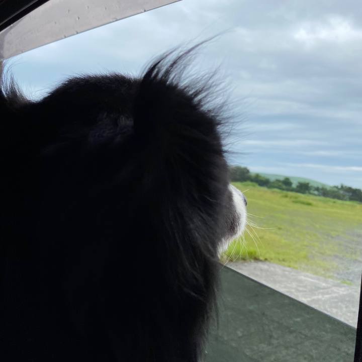 C9c3c217 2523 454f ad3c 65cbd468539e 1593425181073