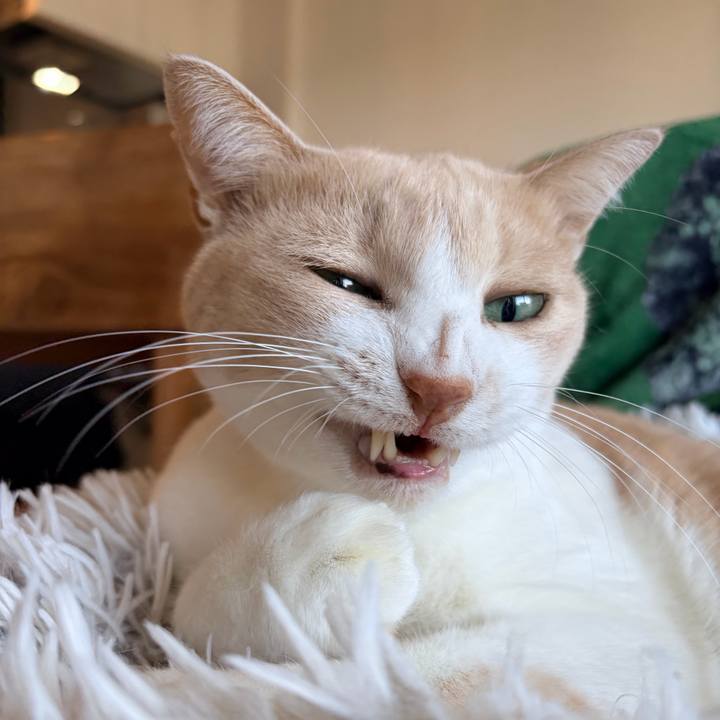 C9c3e70c 8812 4d50 a5dd bbcfe66e97fe 1766814836274