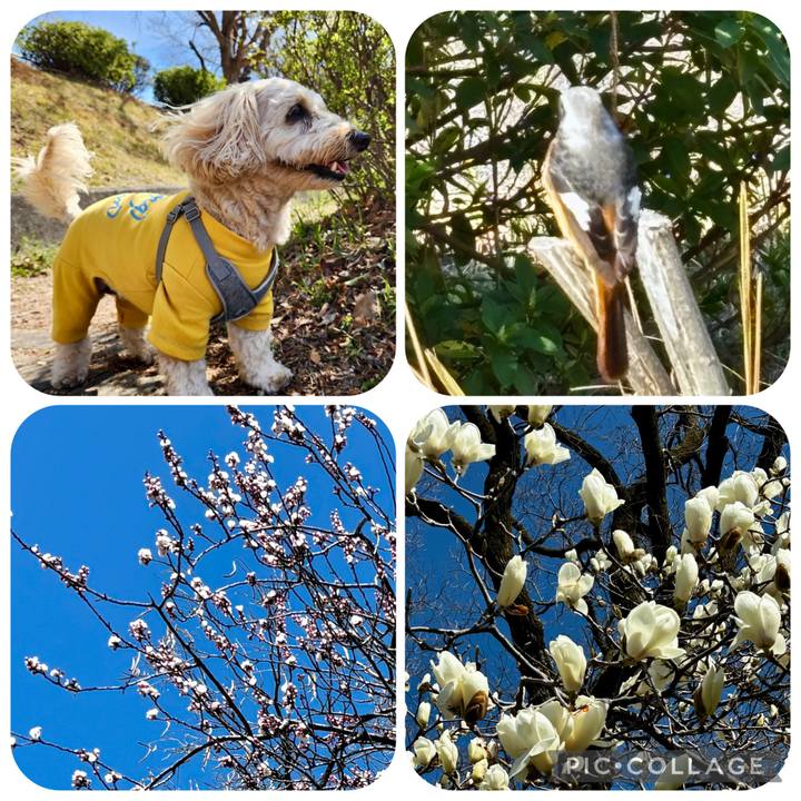 C9c3fd6e 4e72 4f11 a653 30dfd7f20054 1773030056078