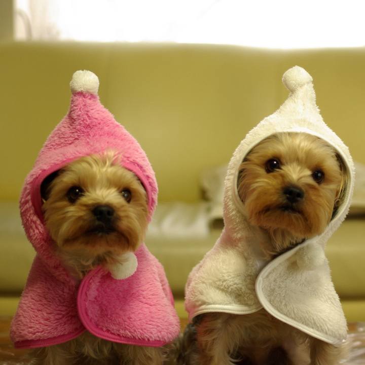 C9c40cf1 e306 45fc 909a 4cba066aa85e 1731316770447