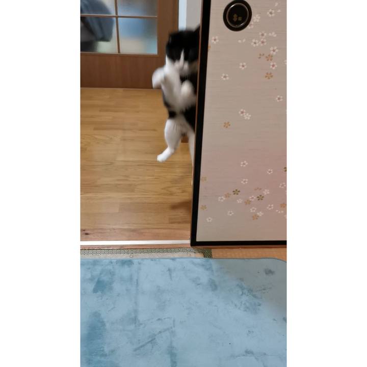 C9c40ec9 2cfa 4929 a5b8 99c4d379491d 1642649398846