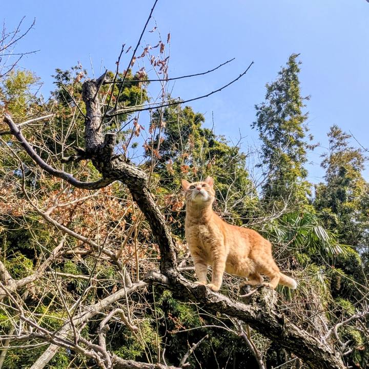 C9c40f15 97fc 4168 881f 21b60569a357 1774350174704