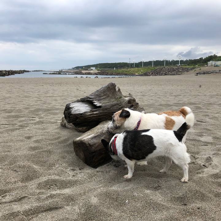 C9c43793 65d2 4240 ba18 82c1f5530a3a 1564272981772