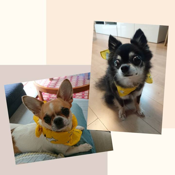 C9c44d1f 116d 4bb7 9b8d f2713999037e 1553131756900