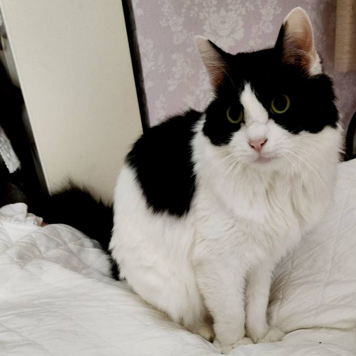 C9c45daa e6a0 4341 b099 a49347c5f8a2 1708378547580