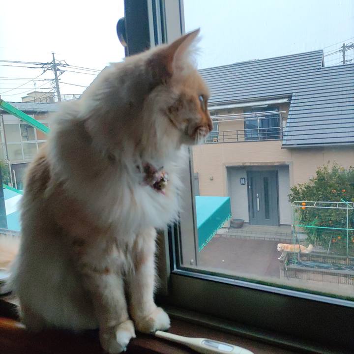 C9c4a2a3 c524 4264 aaf4 51c706682e76 1673832038136