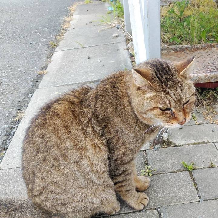 C9c51245 6b34 4089 bae3 b84d364deae6 1618572443829