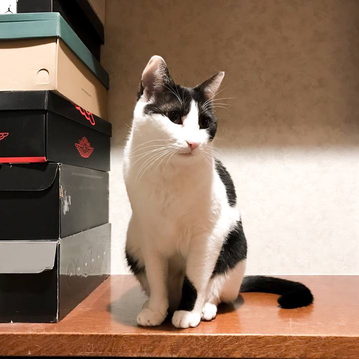 C9c54d22 f229 4779 ad5b 0f6a0ba2af16 1522852477165