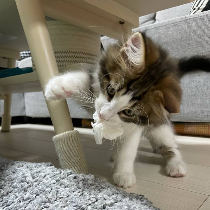 C9c55dba ca4c 4dc3 9fc4 e7df83a82465 1632571782638